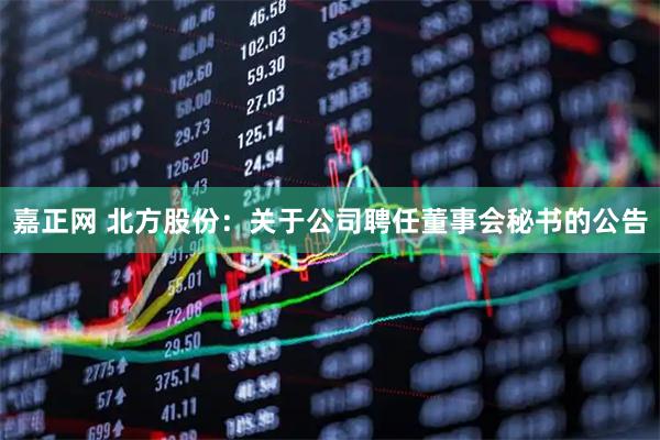 嘉正网 北方股份：关于公司聘任董事会秘书的公告
